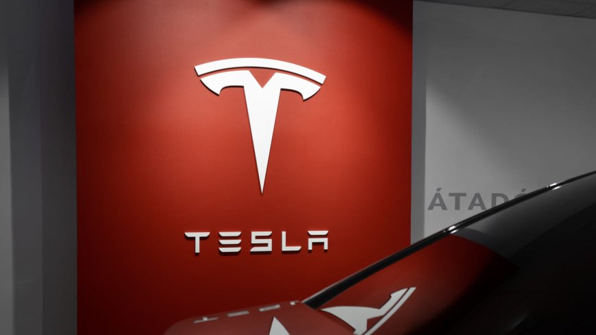 Izazovi za Muska: Tesla bilježi drastičan pad prodaje i tržišne vrijednosti