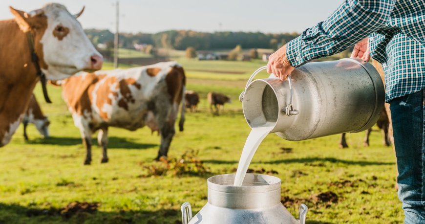 Arla Foods i DMK spajaju snage: Nastaje najveća mljekarska zadruga u Evropi